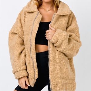 Princess polly teddy goat